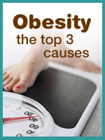 Top 3 causes of obesity